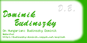 dominik budinszky business card